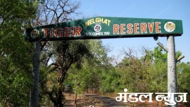 melghat-tiger-reserve-amravati-mandal