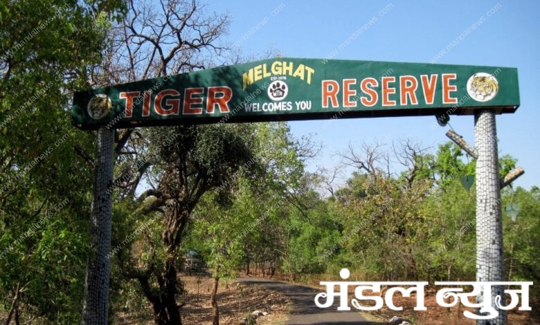 melghat-tiger-reserve-amravati-mandal