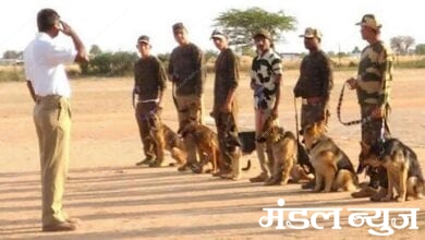 sniffer-dog-india-amravati-mandal