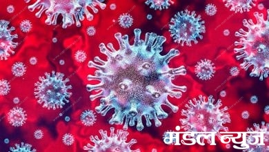 corona virus- amravati mandal