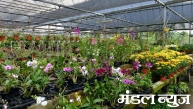 nurseri-amravati-mandal