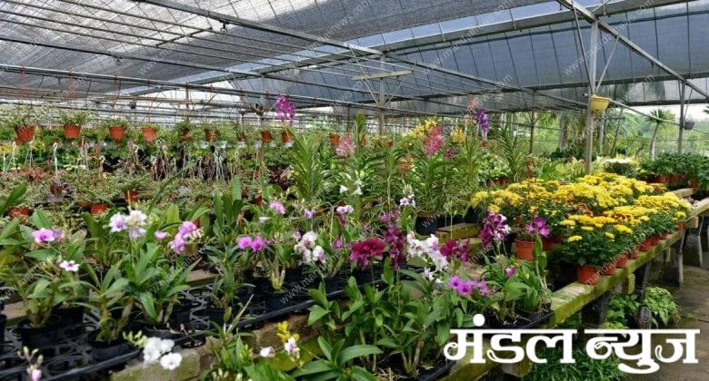 nurseri-amravati-mandal