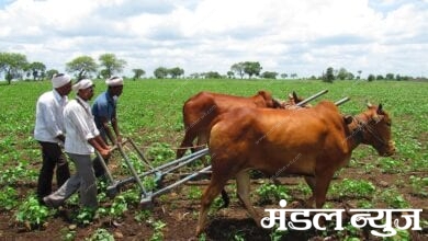 farmer-amravati-mandal