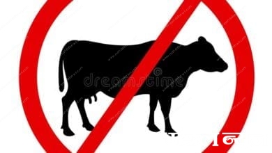 cow-meat-ban-amravati-mandal