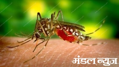 dengue-mosquito-and-prevention_amravati-mandal