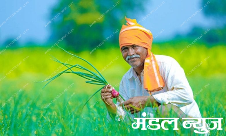 indian-farmer-amravati-mandal