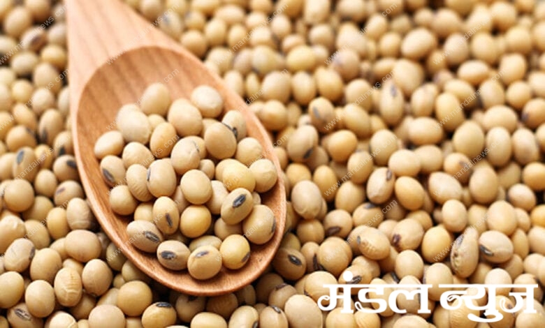 soyabean-amravati-mandal