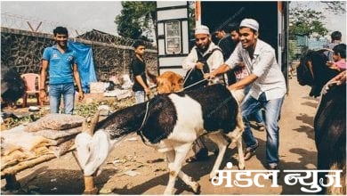 bakri eid-amravati mandal