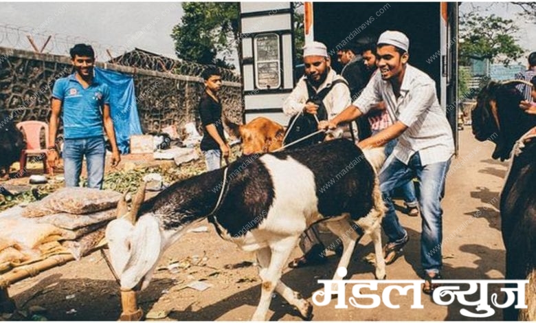 bakri eid-amravati mandal