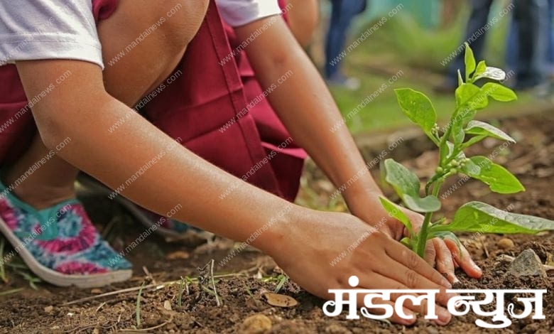 tree-plantation-amravati mandal