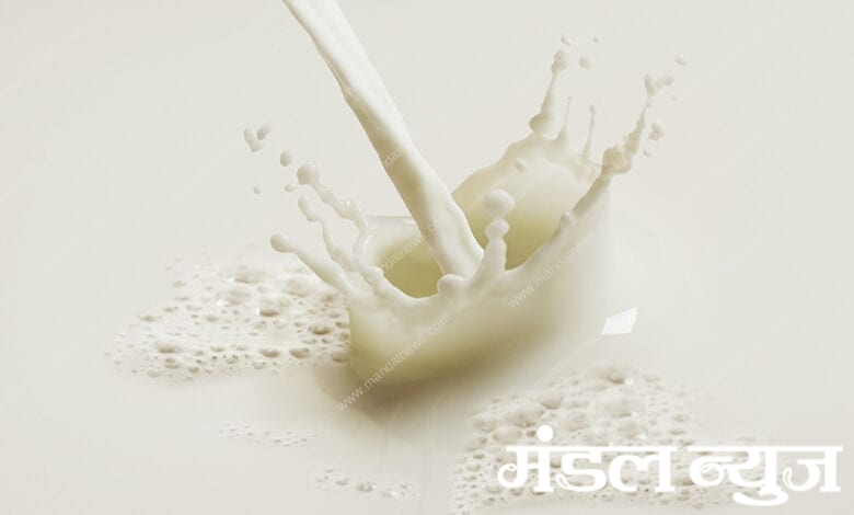 milk-amravati-mandal
