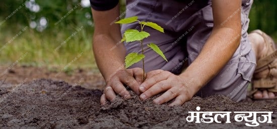 tree-plantation-amravati-mandal