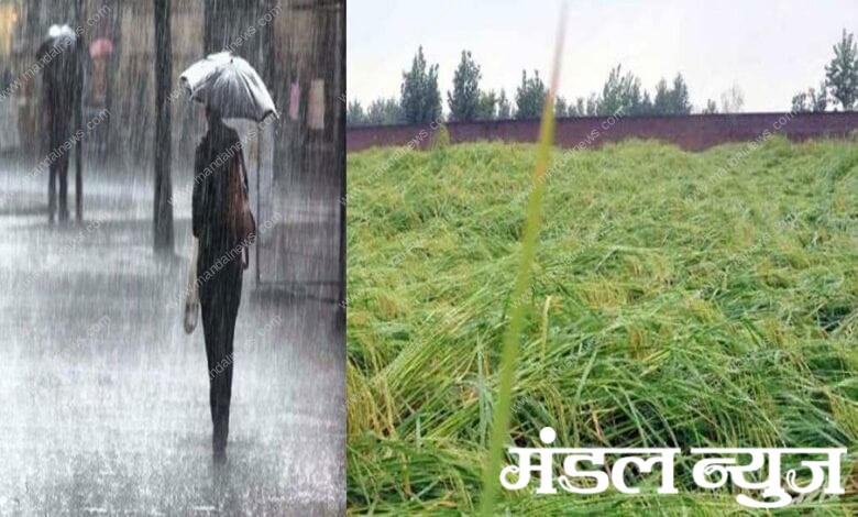 rain-instead-of-gain-amravati-mandal