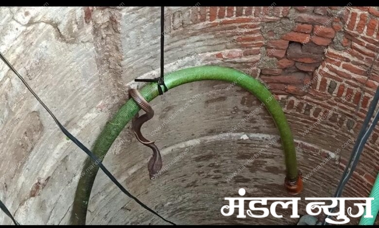 Cobra-amravati-mandal