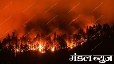 Forest-fire-amravati-mandal