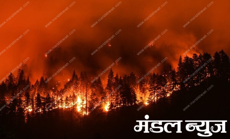 Forest-fire-amravati-mandal