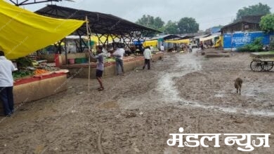 Weekly-market-amravati-mandal