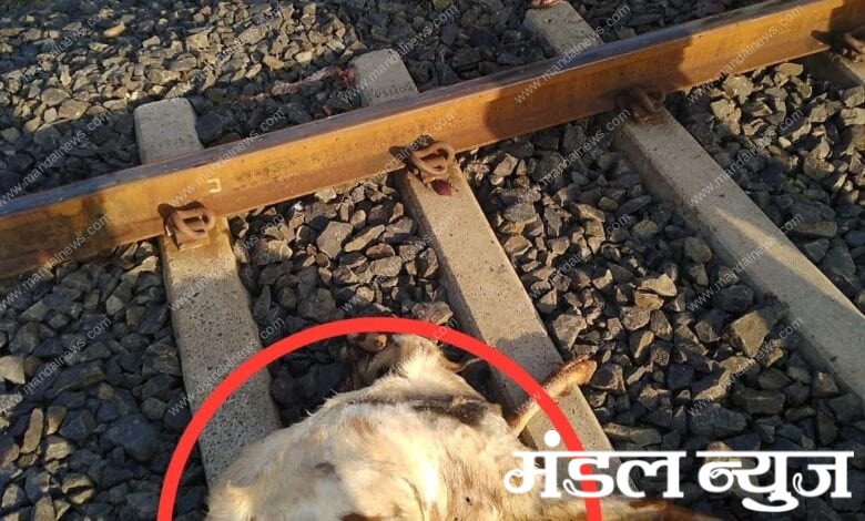 train-accident-amravati-mandal
