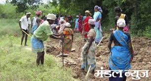 farmers-of-melghat-kisan-amravati-mandal