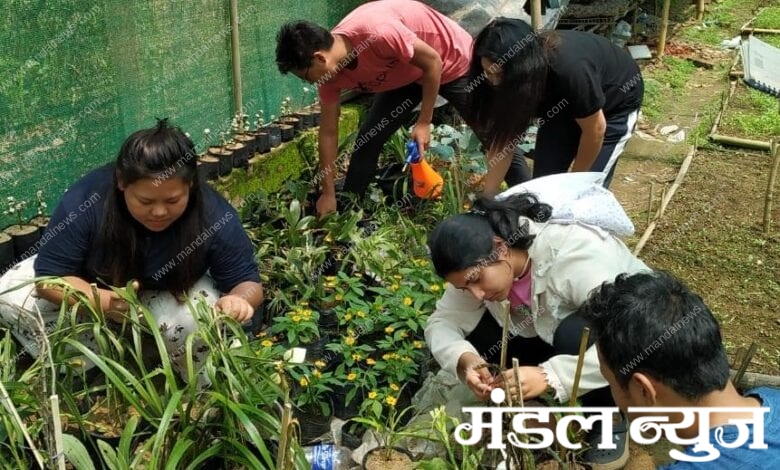 agriculture-amravati-mandal