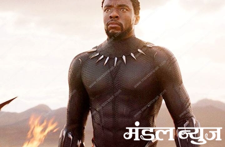 Chadwick-Boseman-amravati-mandal