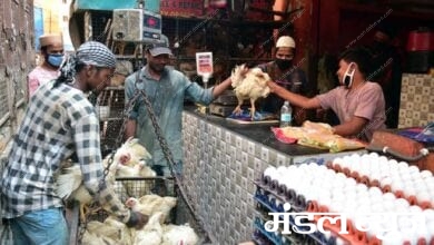 chicken-shops-amravati-mandal