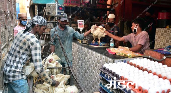 chicken-shops-amravati-mandal