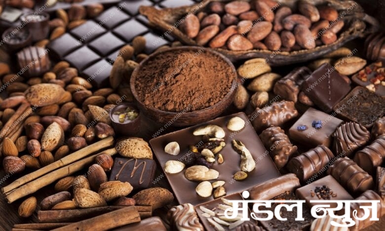 chocolate-industry-amravati-mandal