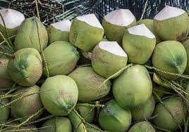 coconut-amravati-mandal
