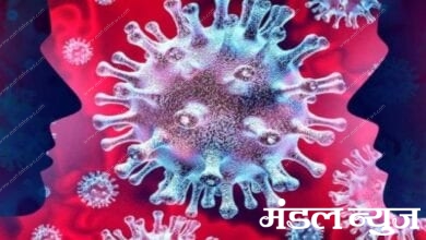 corona-virus-amravati-mandal