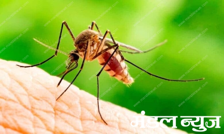 dengue-amravati-mandal