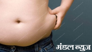 fat-man-corona-risk-amravati-mandal