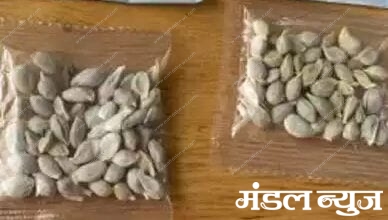 fraud-seeds-amravati-mandal