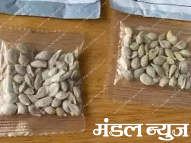 fraud-seeds-amravati-mandal