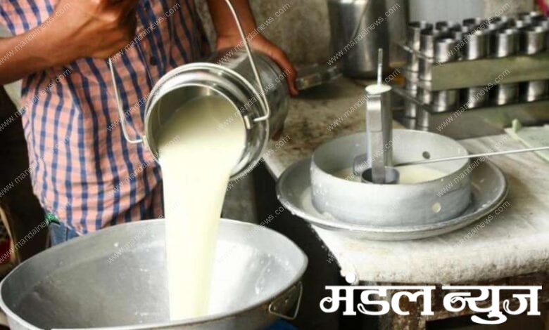 milk_dairy-amravati-mandal