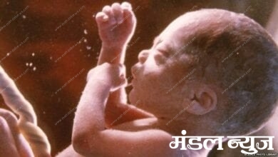 more-than-20-thousand-parents-died-amravati-mandal