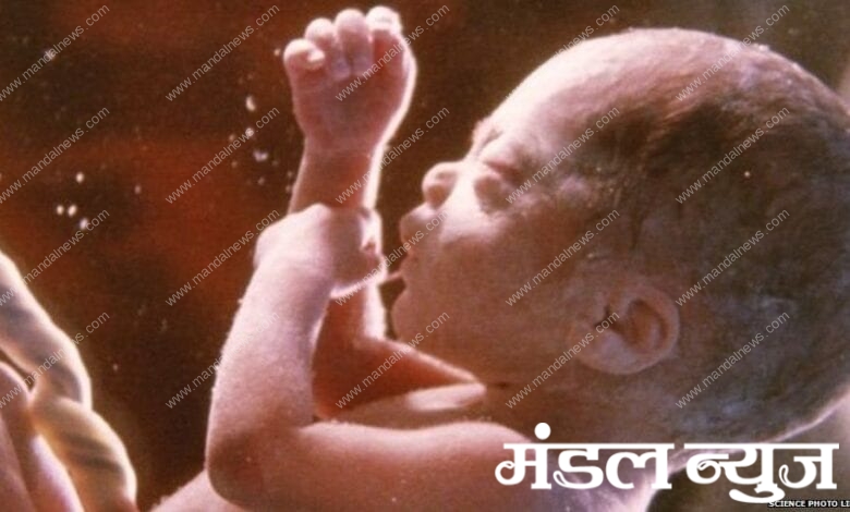 more-than-20-thousand-parents-died-amravati-mandal