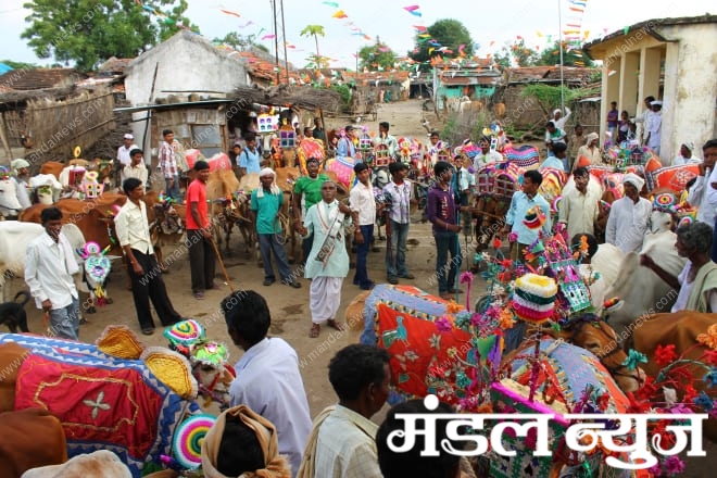 pola-festival-amravati-mandal