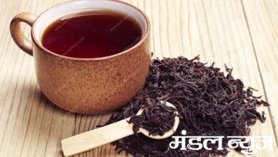used-tea-leaves-amravati-mandal
