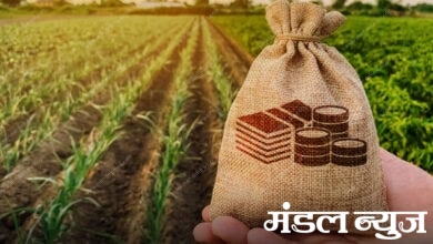crop-loan-amravati-mandal