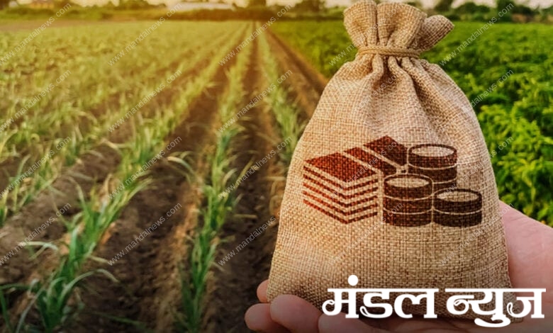 crop-loan-amravati-mandal