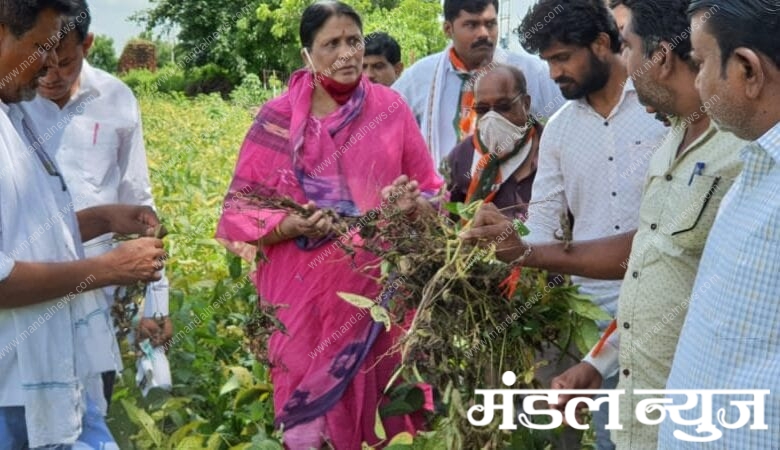 Nivedita-Chaudhary-amravati-mandal