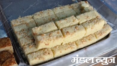 Timeless-sweets-amravati-mandal