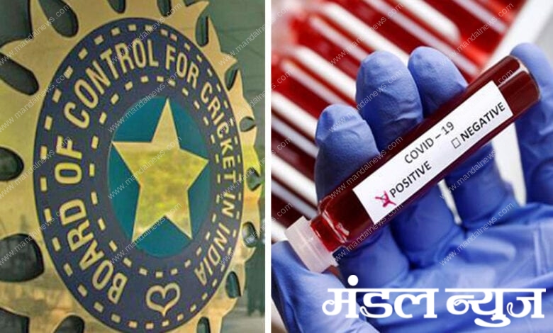 bcci-amravati-mandal