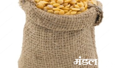 Steal-sacks-of-Tuar-amravati-mandal