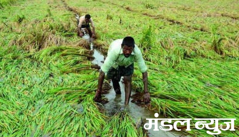 heavy-rains-amravati-mandal