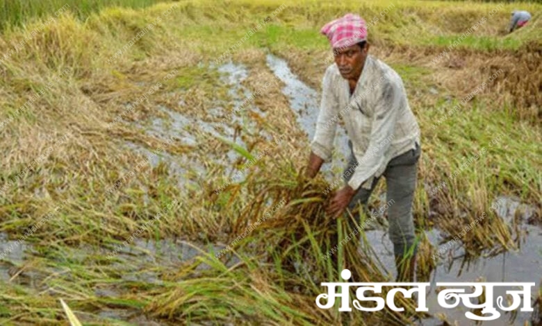 farmer-amravati-mandal