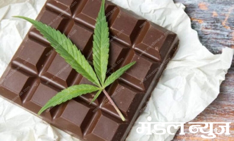 ganja-choclate-amravati-mandal