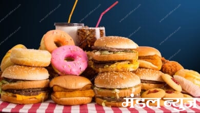 junkfood-amravati-mandal
