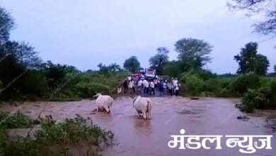 morshi-flood-amravati-mandal